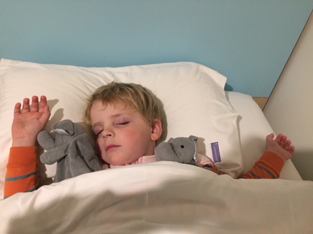 My First Pillow | Low Profile Toddler Pillow (From 24 Months) | With Removable Zip Cover | Australian Made - Image 2