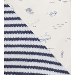 Vanilla Nautical